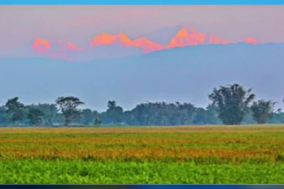 পঞ্চগড়ে দেখা মিলছে কাঞ্চনজঙ্ঘার/ঢাকা ট্রিবিউন