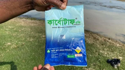 কার্বোটাফ নামের বিষ দিয়ে মারা হচ্ছে পাখি/সৌজন্য ছবি