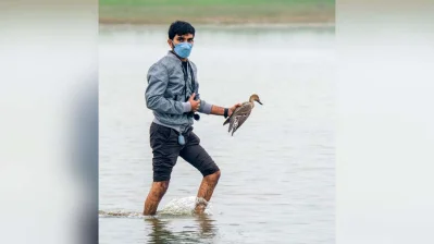 মৃত পাখিগুলোকে পানি থেকে তুলে মাটিচাপা দেন আইইউসিএন প্রতিনিধিরা/সৌজন্য ছবি