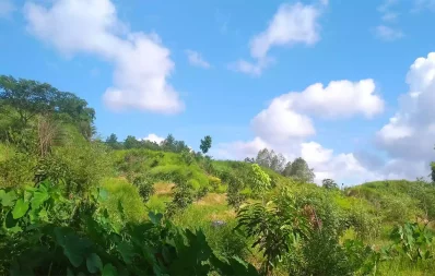 পাহাড়ি দ্বীপটি একদিনেই ঘুরে দেখা সম্ভব/ইউএনবি