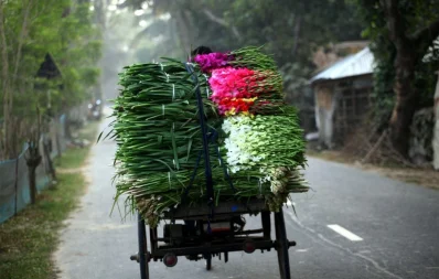 বসন্ত উৎসব, ভালোবাসা দিবস ও মাতৃভাষা দিবসসহ অন্যান্য দিবসের বাজার ধরতে প্রস্তুতি নিচ্ছেন চাষিরা/ফাইল ছবি/ঢাকা ট্রিবিউন