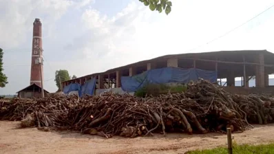 সেতাবগঞ্জ উপজেলার এই ভাটায় সবসময় পোড়ানো হয় কাঠ/ঢাকা ট্রিবিউন
