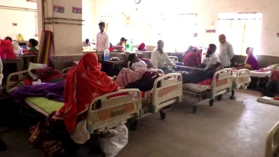 পোকার অত্যাচারে অতিষ্ঠ কার্ডিওলজি বিভাগের রোগীরা/ঢাকা ট্রিবিউন