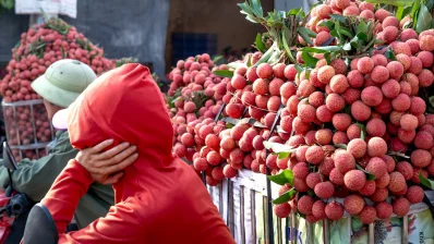 পাকা লিচু ত্বকের উজ্জ্বলতা বাড়ায়/পেক্সেলস