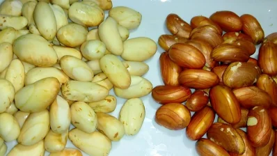 চোখের জন্যও উপকারী কাঁঠালের বীজ/সংগৃহীত