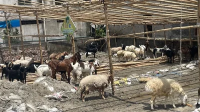 রাজধানীর মোহাম্মদপুরে সাদিক অ্যাগ্রো ফার্মে অভিযান চালিয়েছে ঢাকা উত্তর সিটি কর্পোরেশন/আহাদুল করিম খান/ঢাকা ট্রিবিউন
