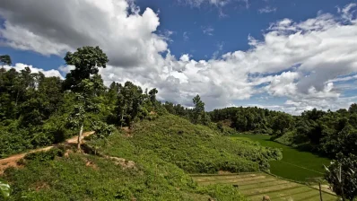 ভারতের ত্রিপুরা সীমান্ত সংলগ্ন সমগ্র অভয়ারণ্যটির আয়তন ১ হাজার ৭৯৫ দশমিক ৫৪ হেক্টর/সংগৃহীত