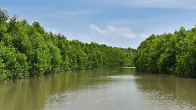 কুকরি-মুকরি দ্বীপ