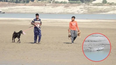 অনেকেই হাঁস এনে ছেড়েছেন নদীতে/সংগৃহীত