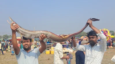 আড়াইশ বছরের পুরনো মাছের মেলা