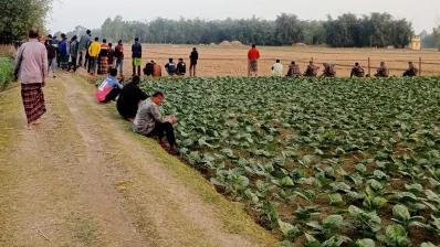 বিজিবিকে কোনো কিছু না জানিয়ে কাঁটাতারের বেড়া নির্মাণ কাজ শুরু করে বিএসএফ/সংগৃহীত