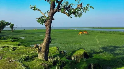 নিদ্রা সমুদ্র সৈকত/সংগৃহীত