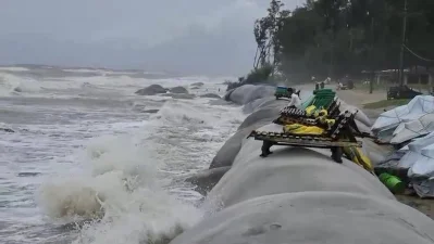 জোয়ারের পানিতে সৈকতের ঝাউবাগান ও বালিয়াড়িতে ভাঙন/ঢাকা ট্রিবিউন