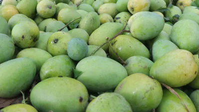 রাজশাহীর আম