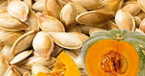 Ыстық Кинки Джо порно видео