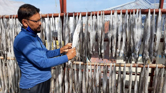 Dom-2dagi Stepa va Alenaning jinsiy aloqa sahnasi (video)