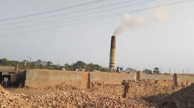 Kattalar uchun intim rasmlar