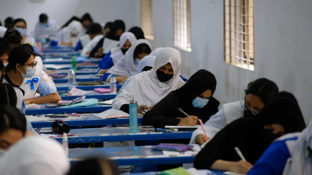 Voyaga etgan ayolning katta vaginasi