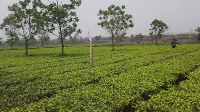 প্রতীকী ছবি/সংগৃহীত