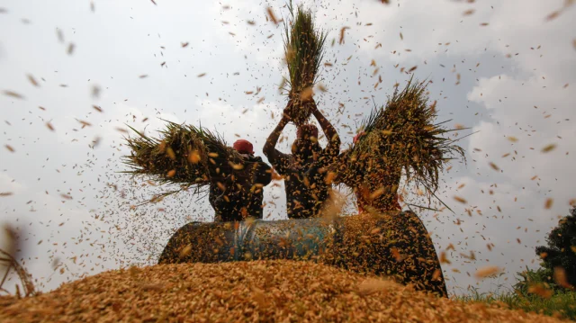 Rus sargish porno onlayn tomosha qiling Ramantchi jinsiy aloqa