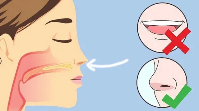 Ularning barchasini bir vaqtning ozida onlayn tomosha qiling Ularning barchasini bir vaqtning ozida onlayn tomosha qiling